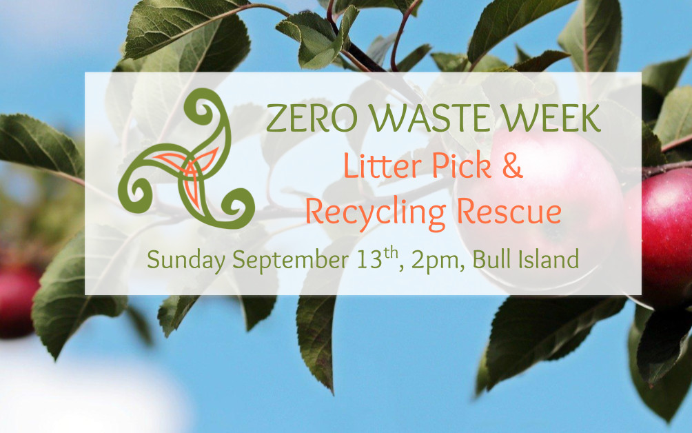 Zero Waste Week Litter Pick and Recycle Rescue in Bull Island